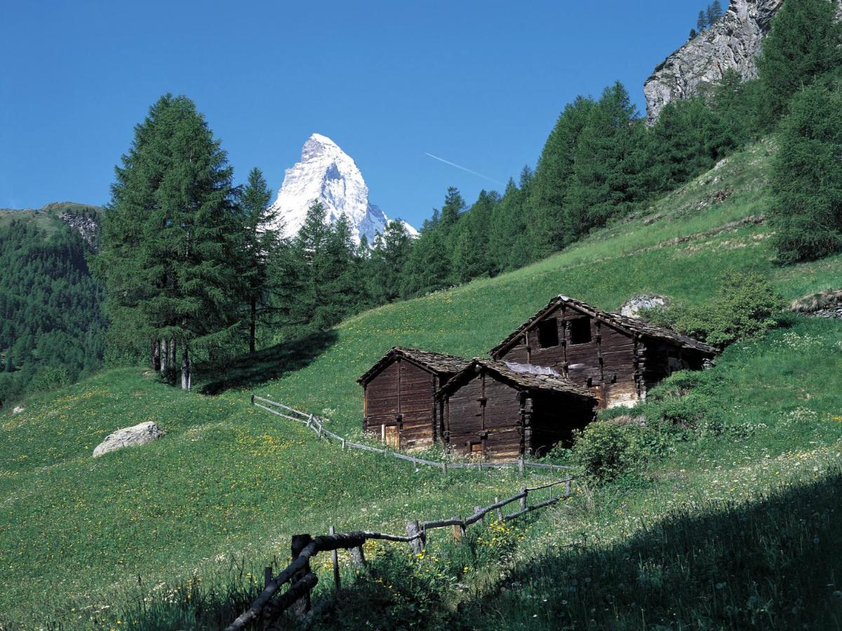 Apartment Alba By Interhome Zermatt Bagian luar foto